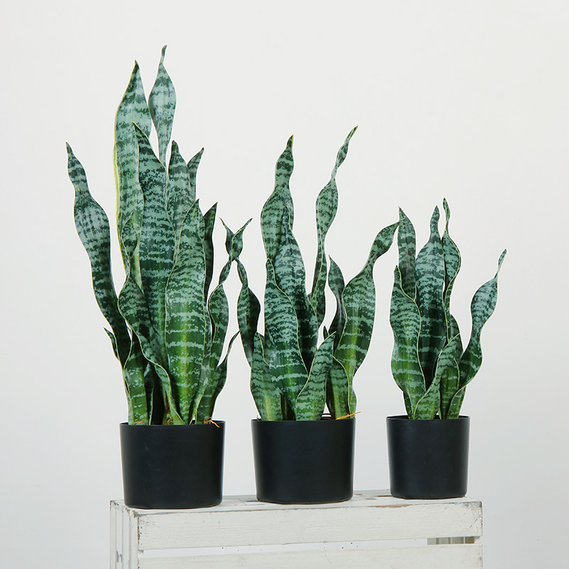 Heißer Verkauf Grüner Innenausstattung Kunststoff künstliche Pflanzen dekorativ für Wohnzimmer